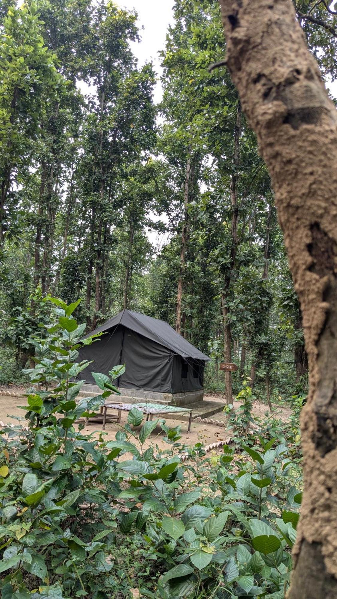 Athulyam Kanha, Kanha National Park, Mukki Gate Khāpa Екстериор снимка